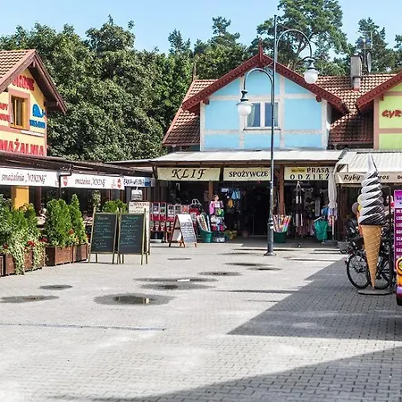 W Stegnie Nad Morzem Na 10 Osob. Sauna. Duzy Salon. Kominek. * Stegna (Pomerania)