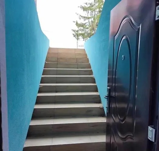 Apartment W Stegnie Nad Morzem Na 10 Osob. Sauna. Duzy Salon. Kominek. *