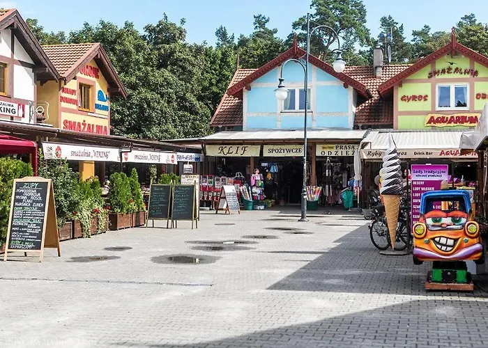 W Stegnie Nad Morzem Na 10 Osob. Sauna. Duzy Salon. Kominek. * Stegna (Pomerania)