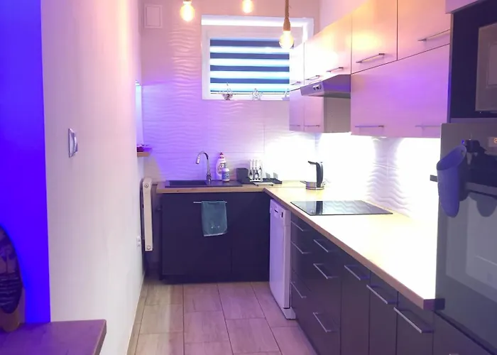 Apartment W Stegnie Nad Morzem Na 10 Osob. Sauna. Duzy Salon. Kominek.